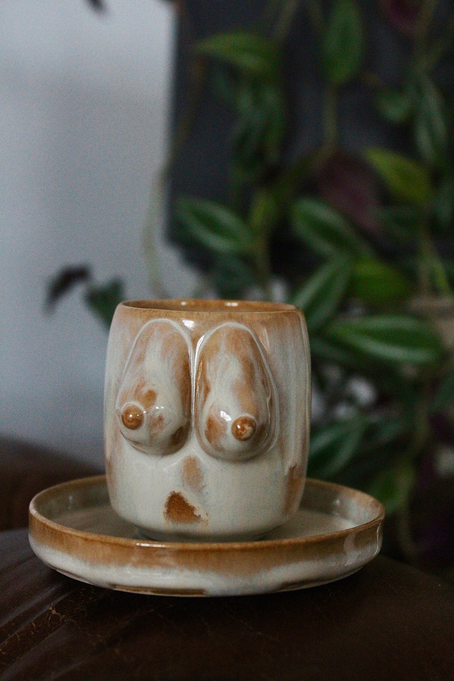 Terra Fincan Takımı