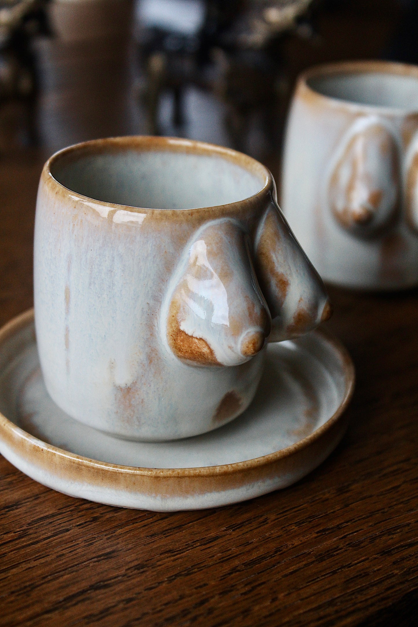 Terra Fincan Takımı