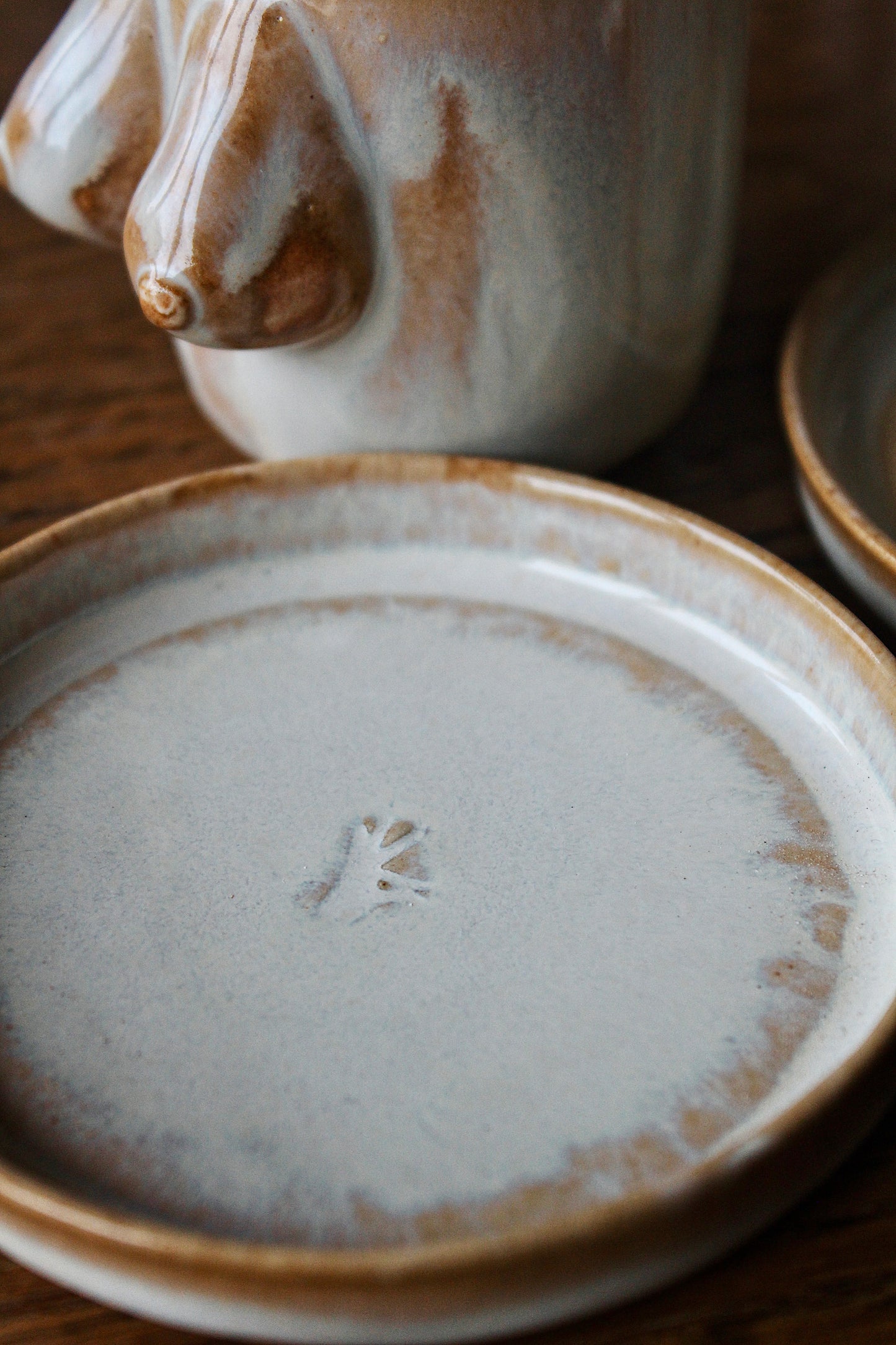 Terra Fincan Takımı